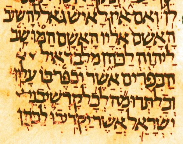 Codex Leningradensis, Numeri 5,8