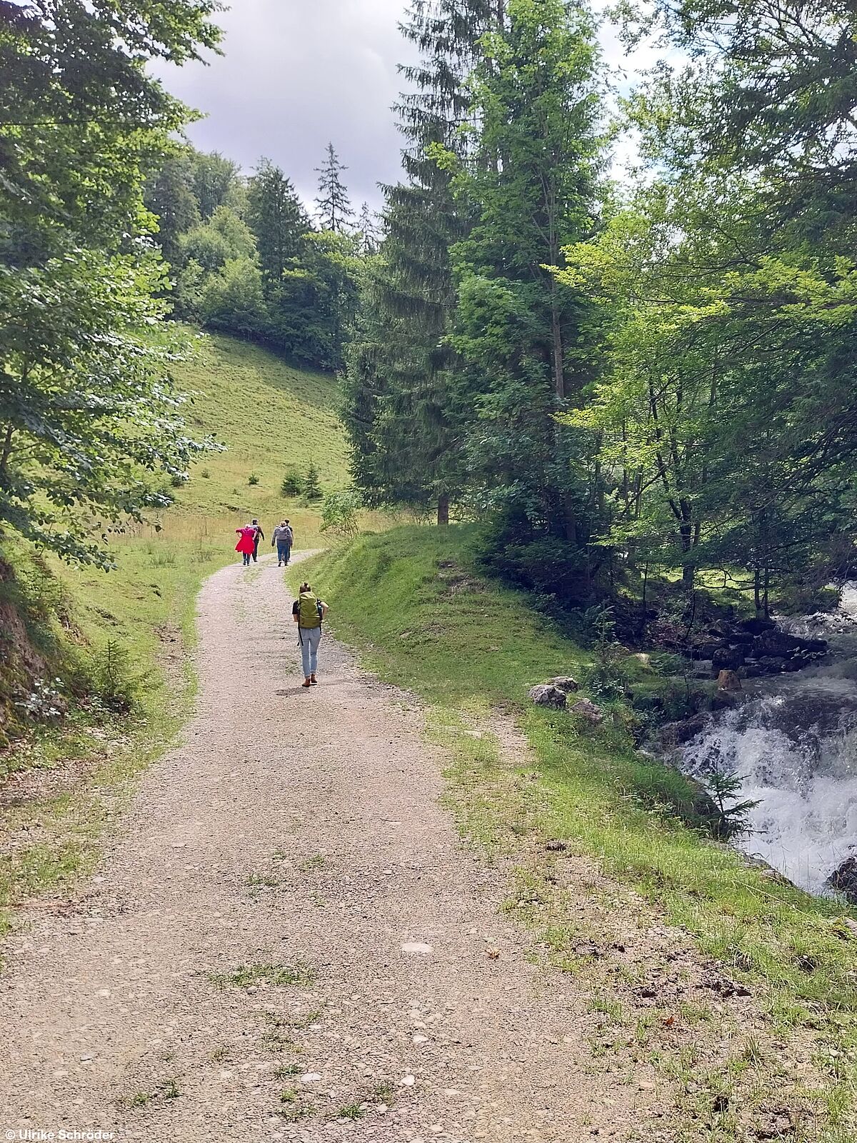 Teilnehmer*innen der Exkursion wandern in den Alpen.